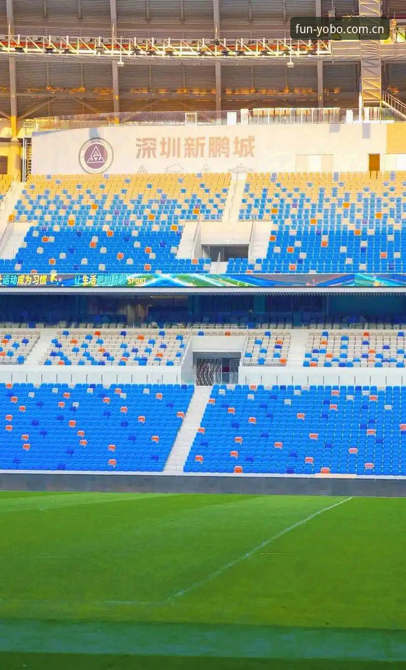 Yobo体育入口 中国足协第三批禁足名单解读:从事件始末到Yobo体育入口观赛指南